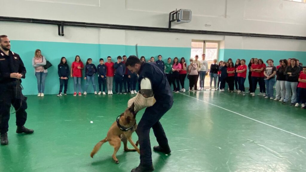 Bullismo