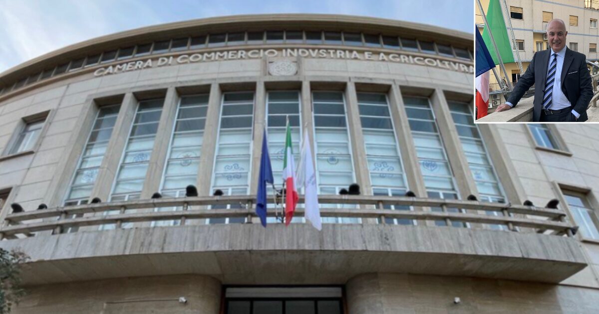 Camera_Cosenza_Algieri
