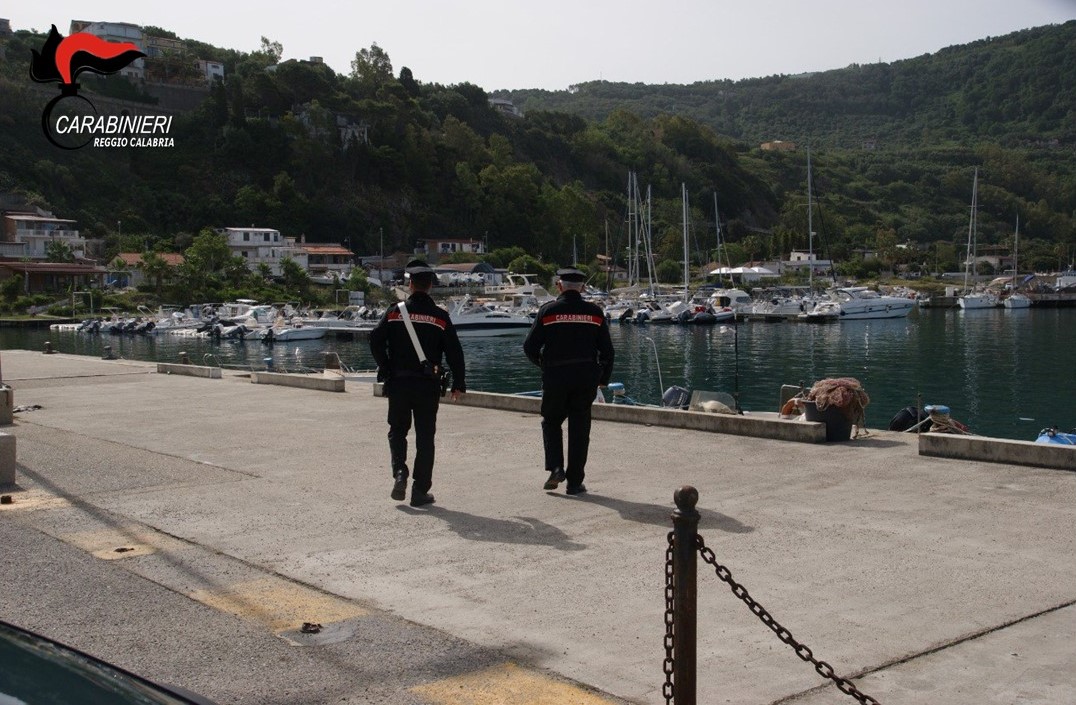 Foto Palmi (1)