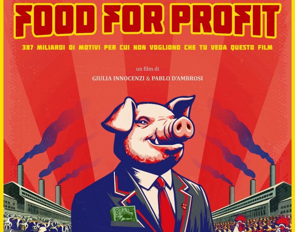 Grafica Digital Reggio Calabria