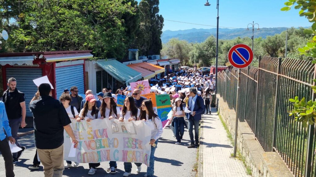 Istituto Comprensivo S. D'Arrigo