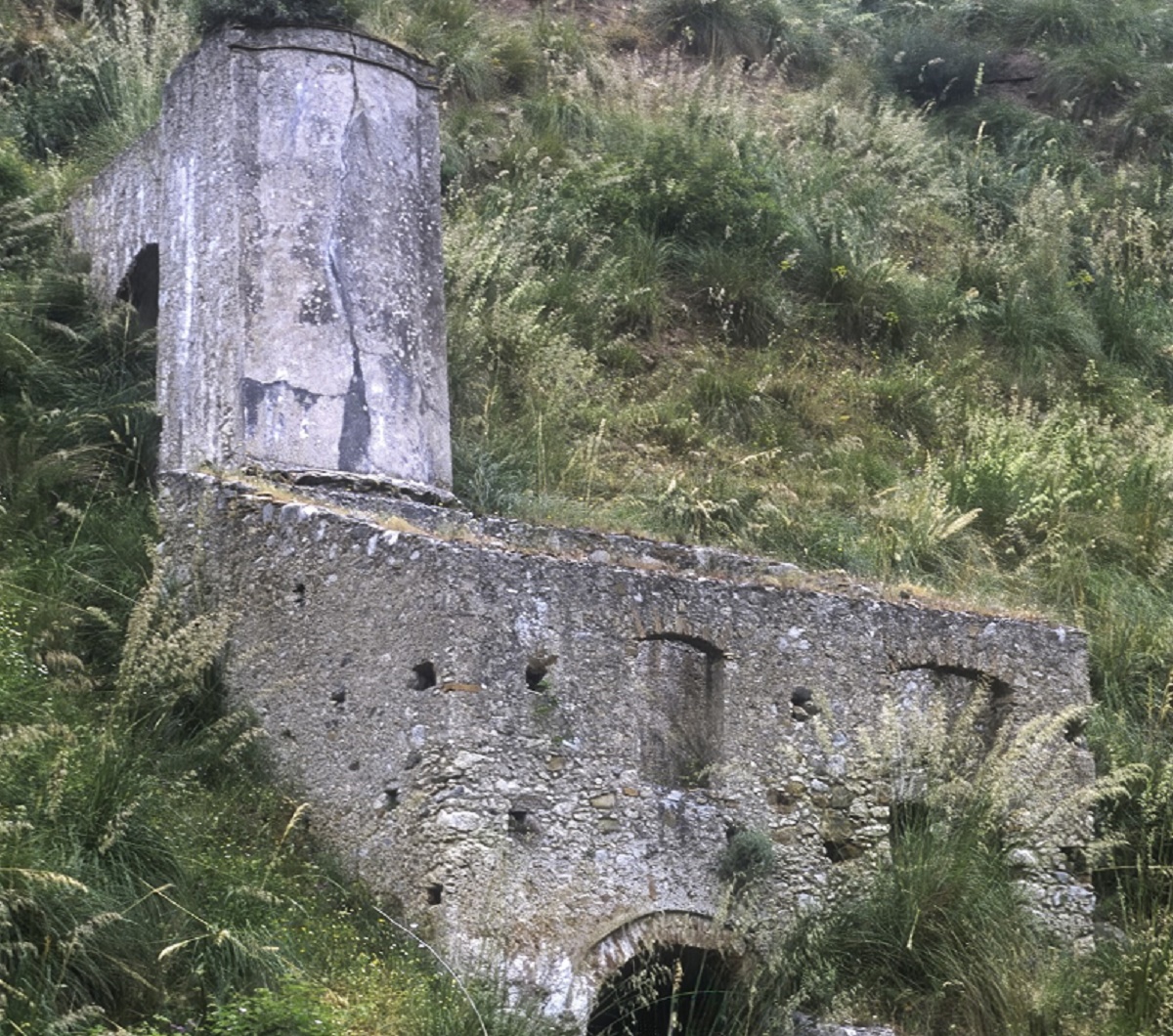 Mulino 1