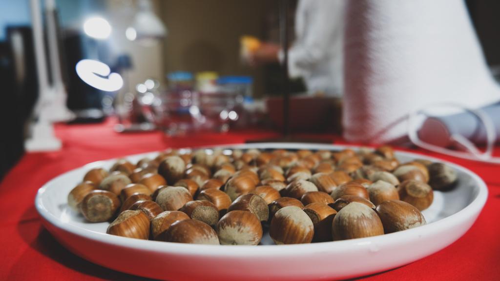 Nocciola_Tonda_di_Calabria