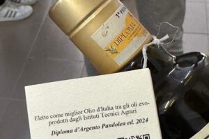 Olio Momena