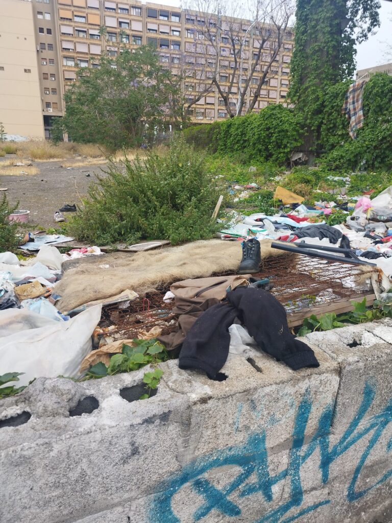 Spazzatura e topi e Catania
