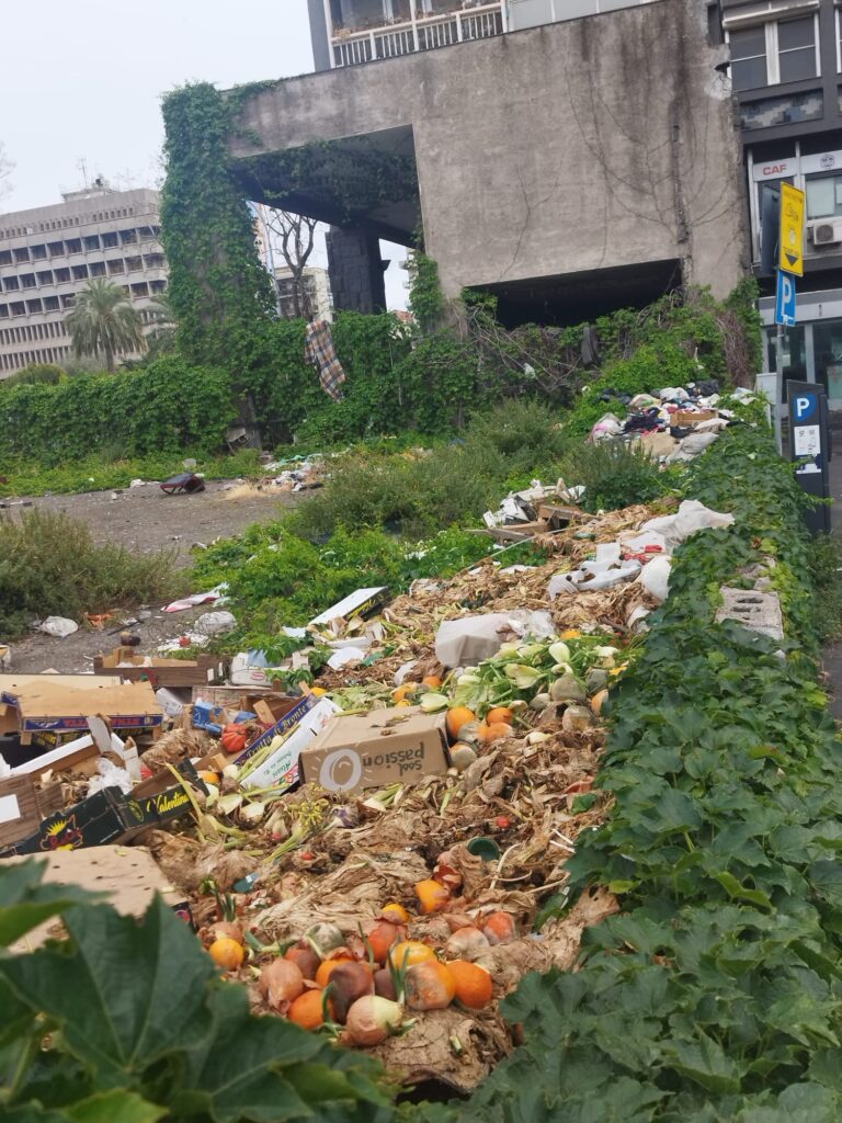 Spazzatura e topi e Catania