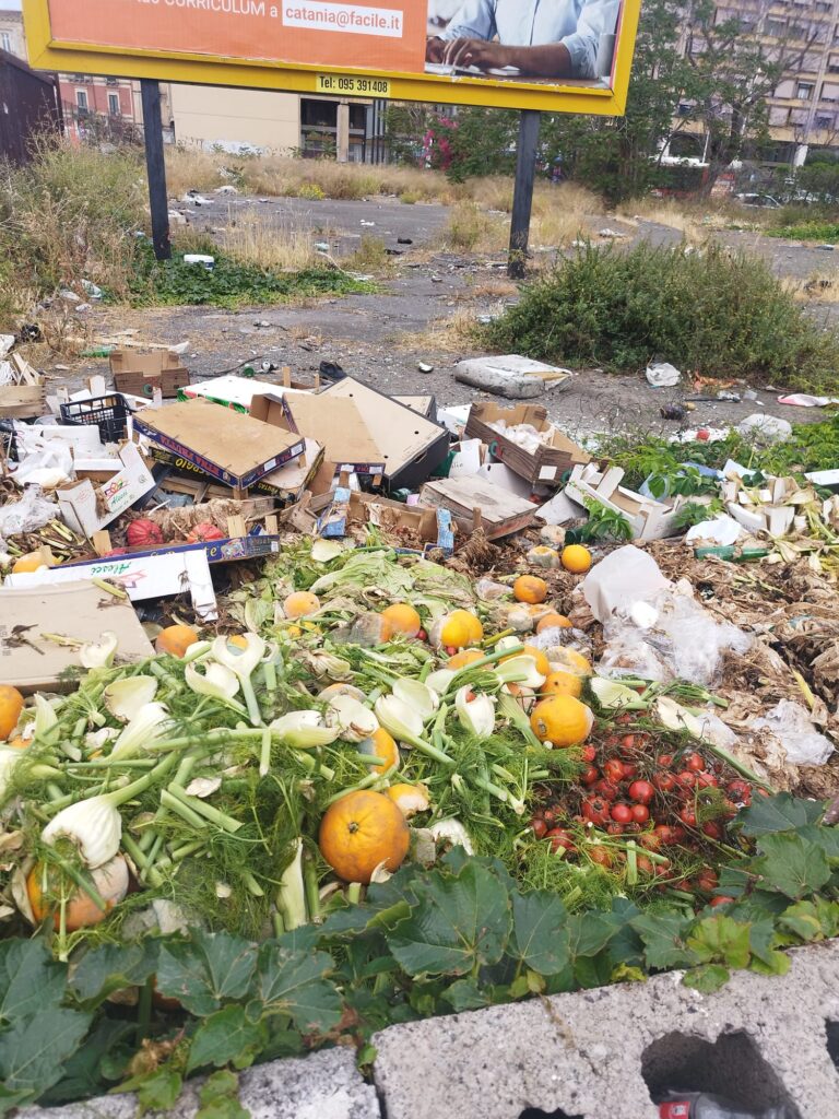 Spazzatura e topi e Catania