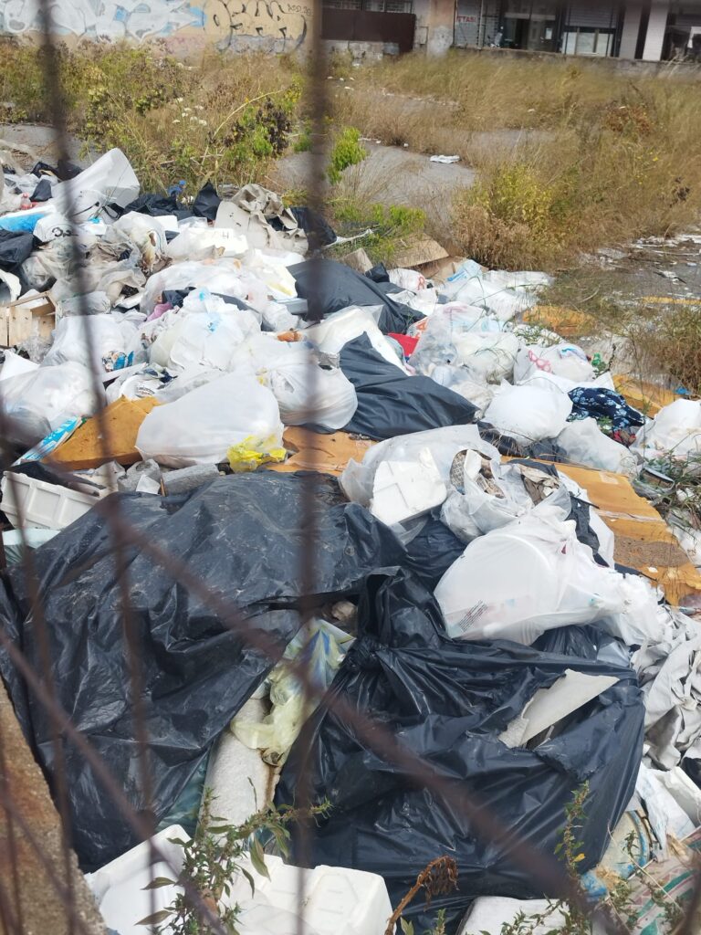 Spazzatura e topi e Catania