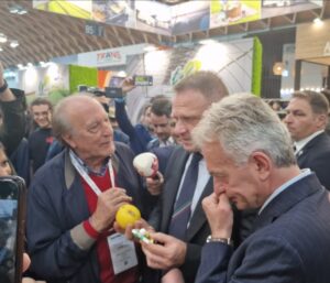 bergamotto reggio calabria