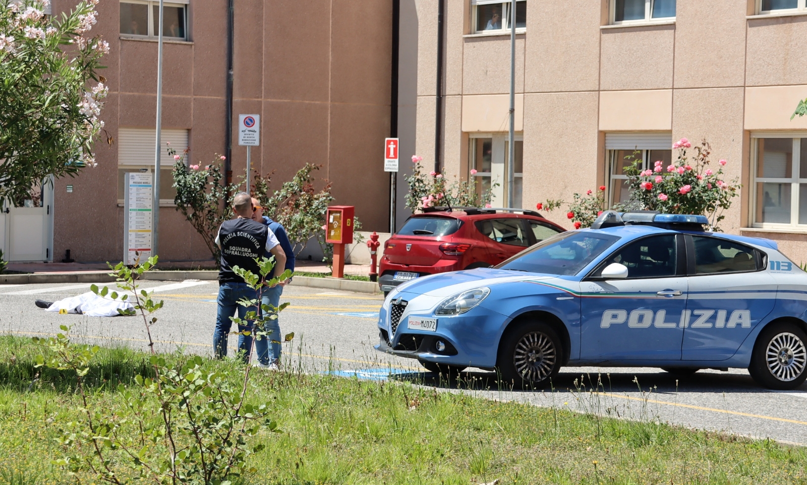 cadavere morelli (3)