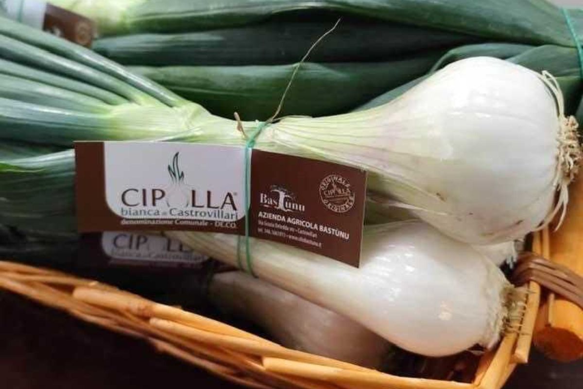 cipolla bianca di Castrovillari