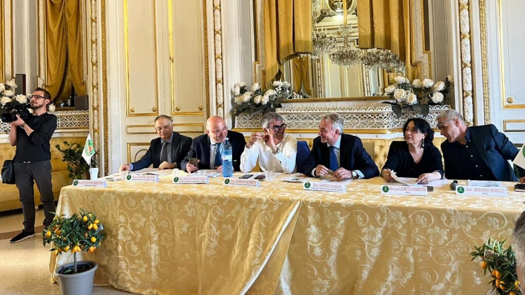 consorzio clementine calabria