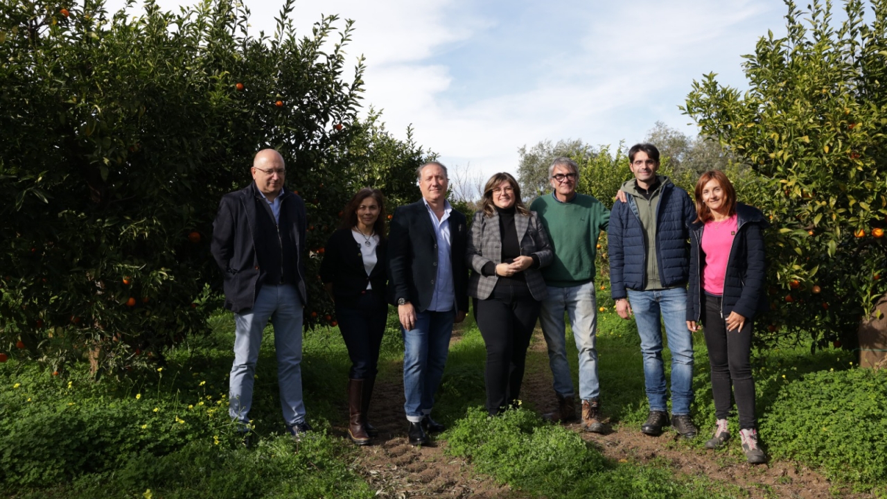 consorzio igp – componenti