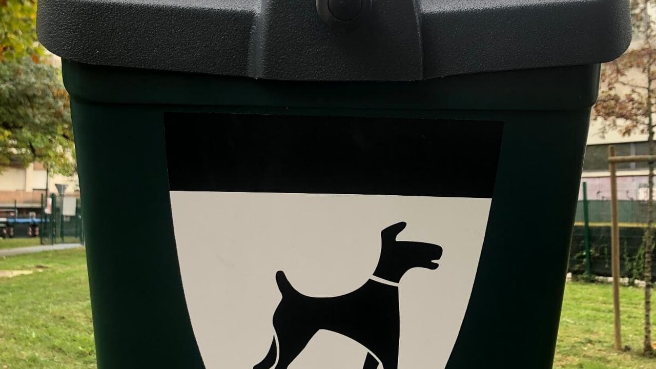 deiezioni canine