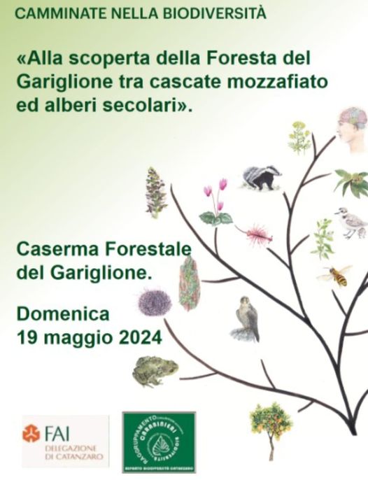 fai_giornata