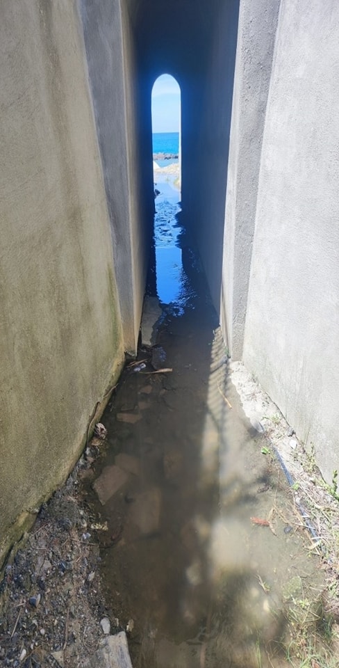 fogna belvedere