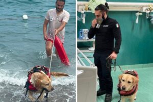 giancarlo e mae
