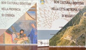 tomi biblioteca cosenza
