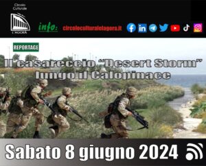 calopinace