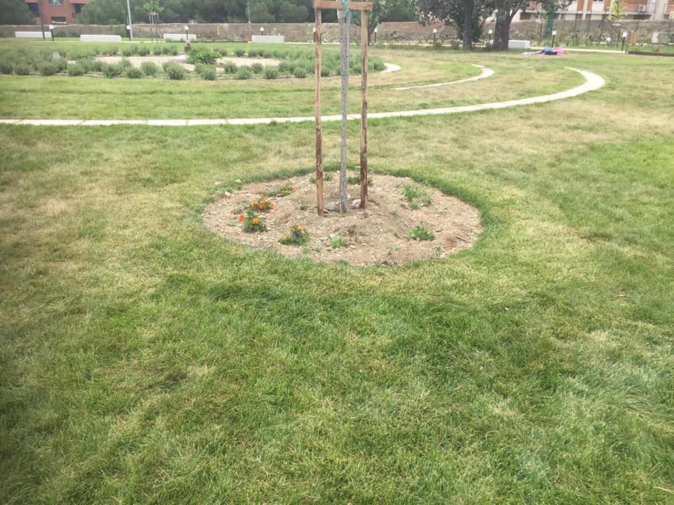 Parco Aldo Moro