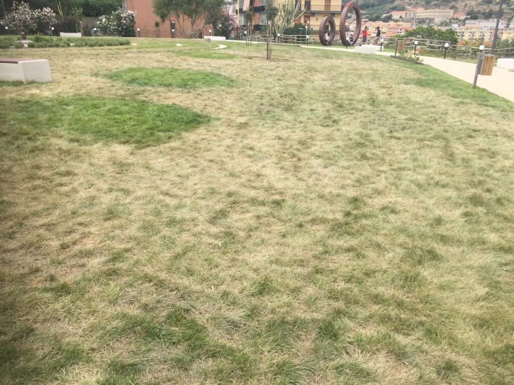 Parco Aldo Moro