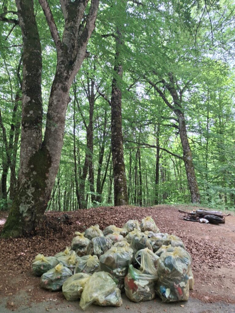 bonifica ambientale in contrada Privitera