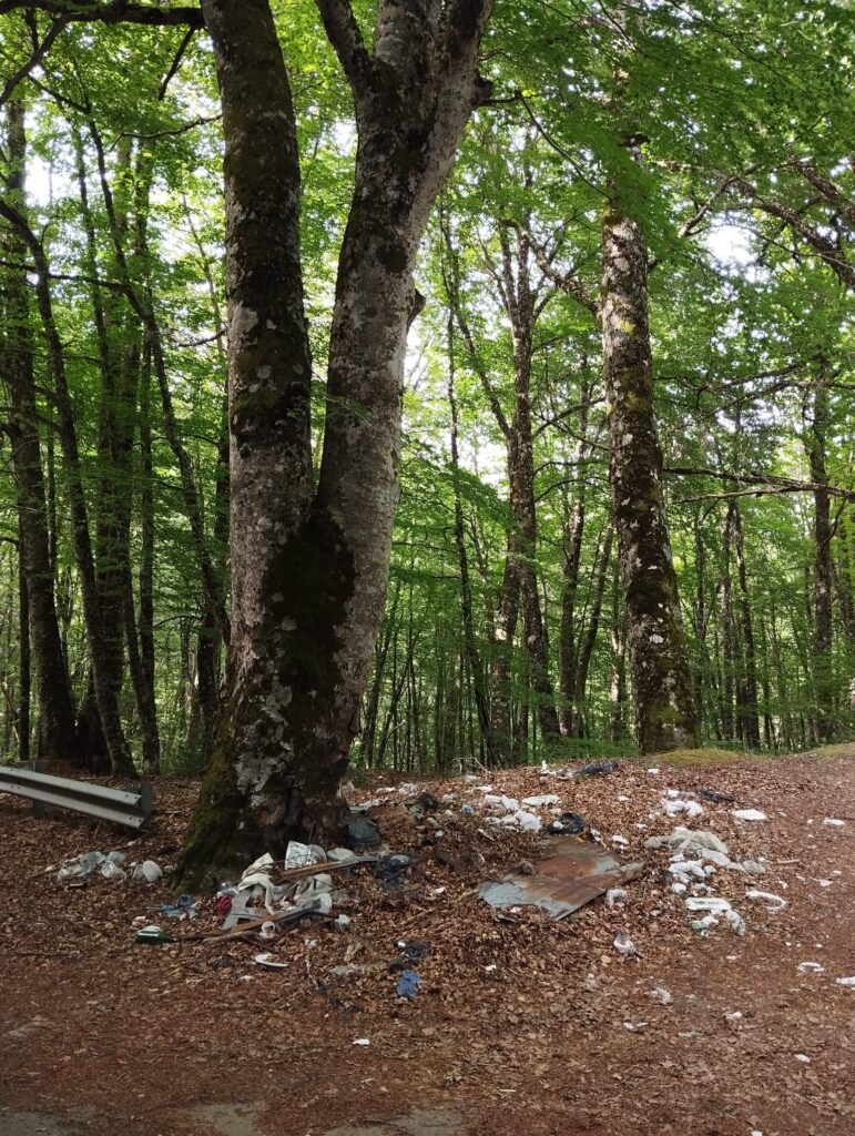 bonifica ambientale in contrada Privitera
