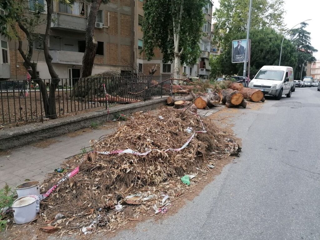 immondizia in via San Guseppe