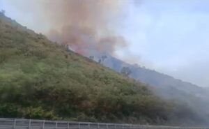 incendio costa viola