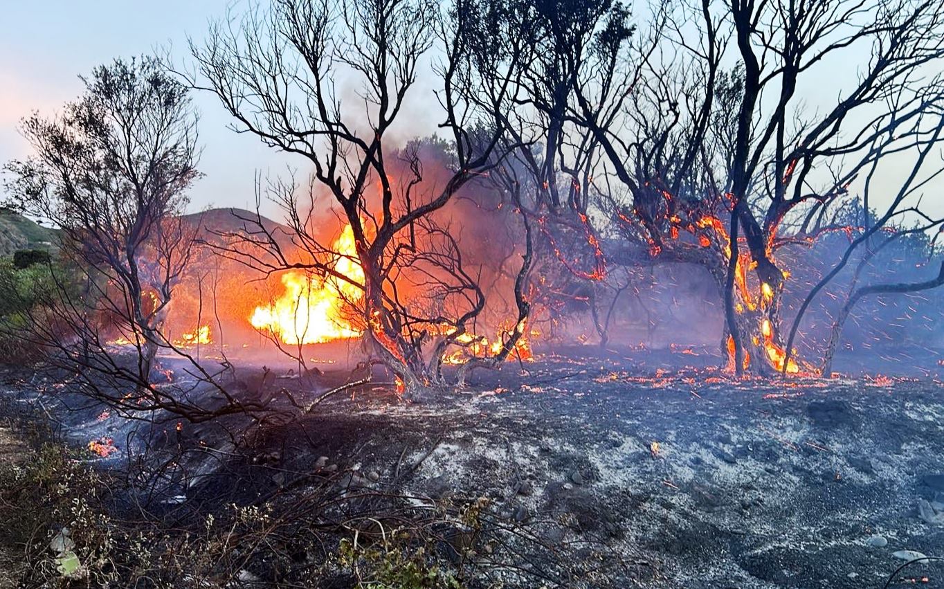 incendio messina