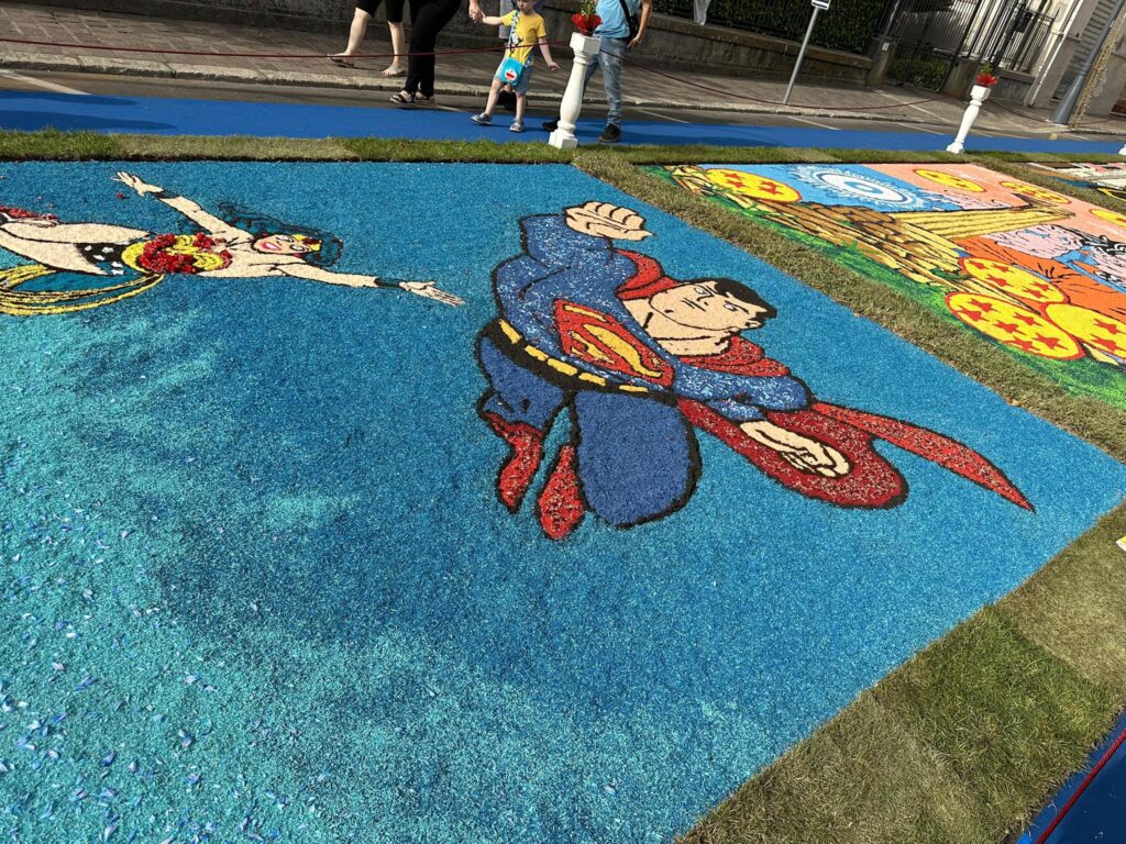 rosaria succurro infiorata taurianova