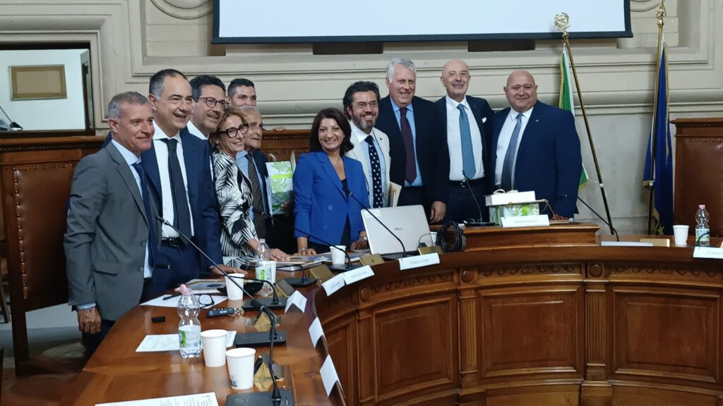 Avvocatura e del Diritto di Palmi (2)