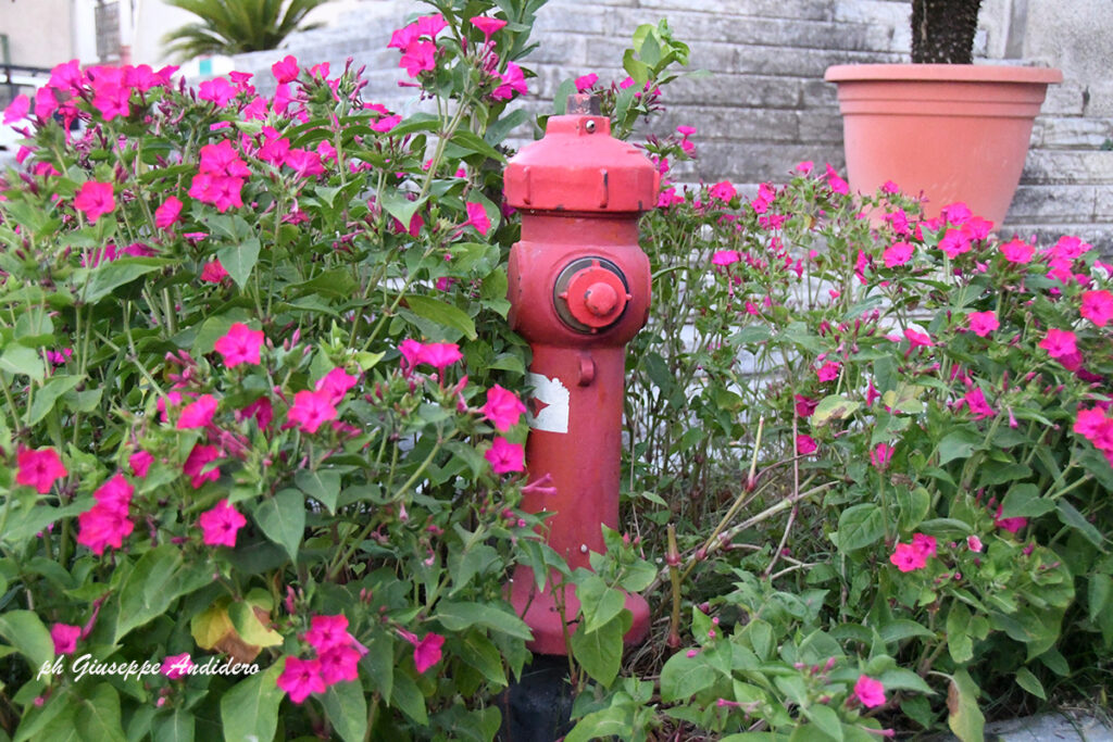 Bocchettone per Emergenza