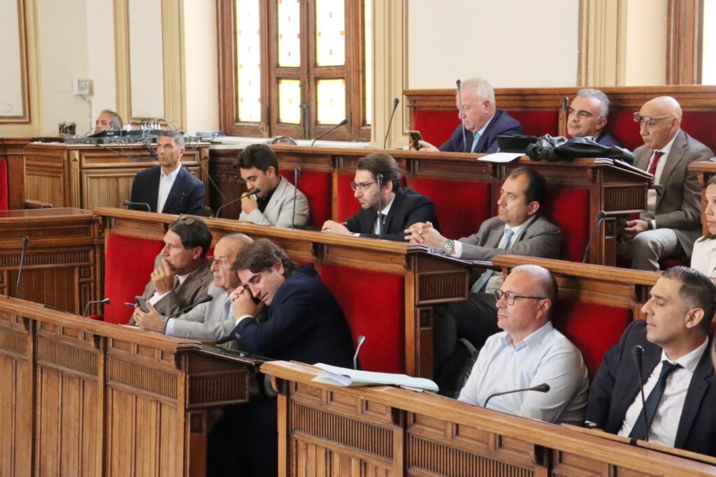 Consiglio Comunale Reggio Calabria 15 luglio 2024 Ripepi
