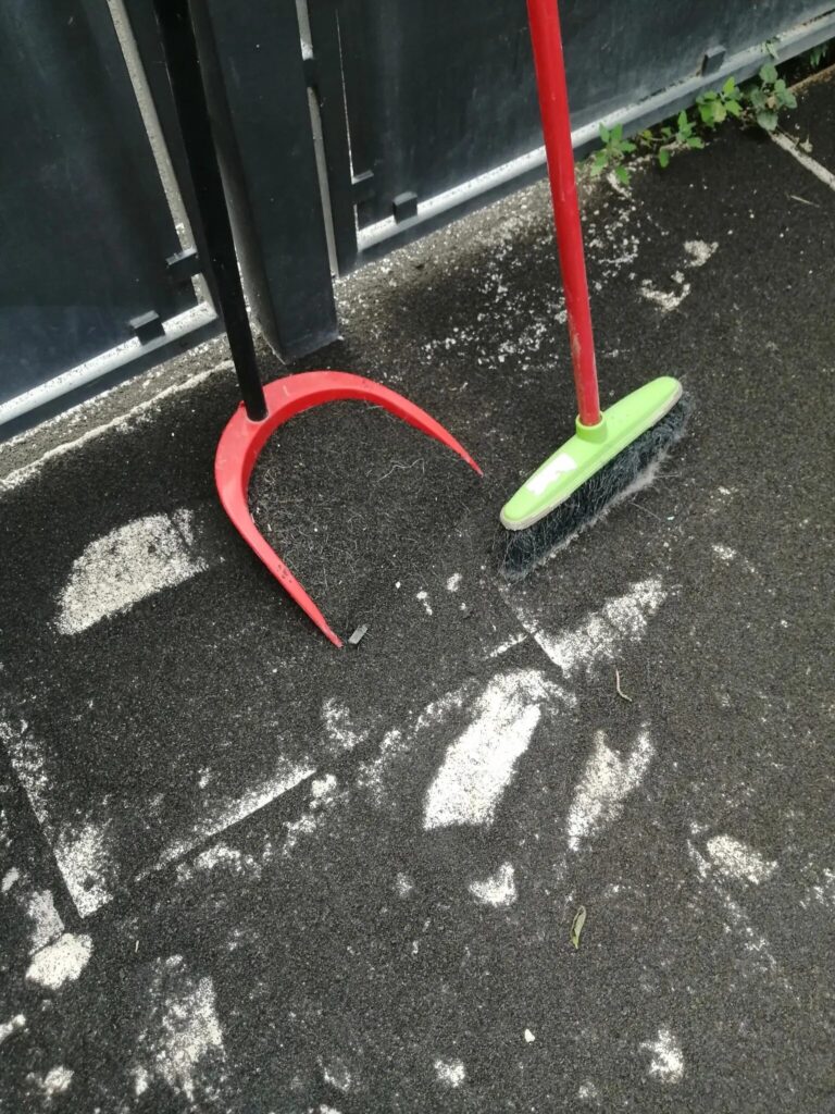 cenere-etna