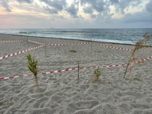 nido capo Faro