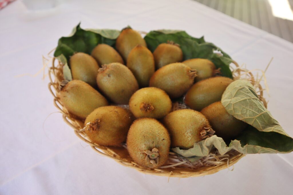 kiwi
