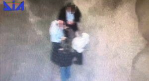 operazione mafia dia