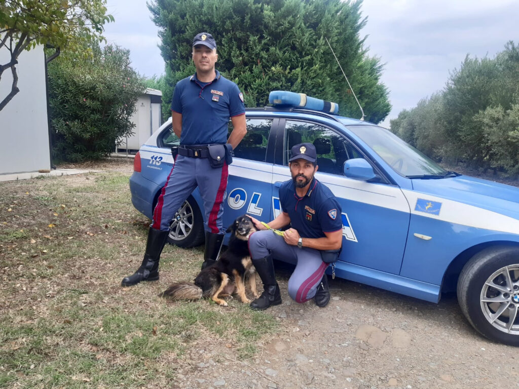 polizia contro abbandono animali