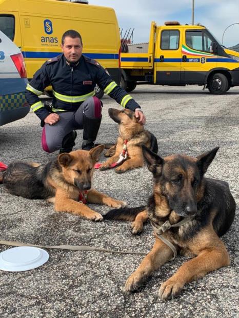 polizia contro abbandono animali