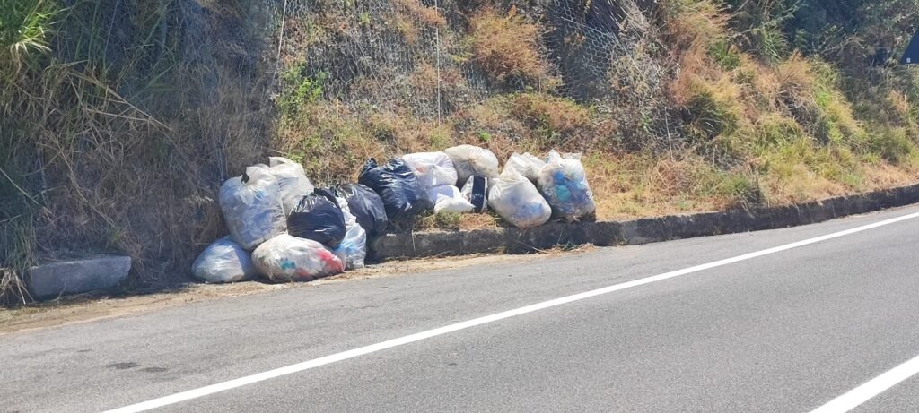 rifiuti scilla a bordo strada (1)