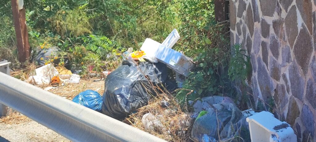 rifiuti scilla a bordo strada (2)