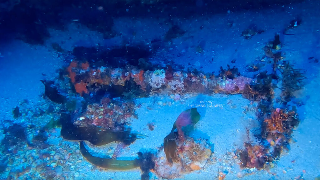 Andrea Murdock Alpinni (PHY DIVING) con lun'ancora di tipo ammiragliato ritrovata