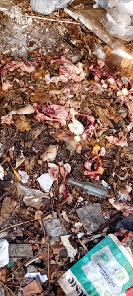discarica abusiva reggio calabria