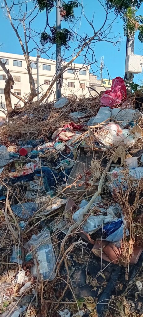 discarica abusiva reggio calabria