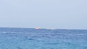 punta pellaro maltempo