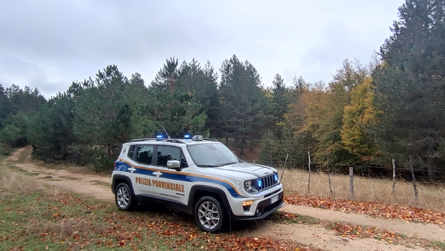 Polizia Provinciale San Giovanni in Fiore
