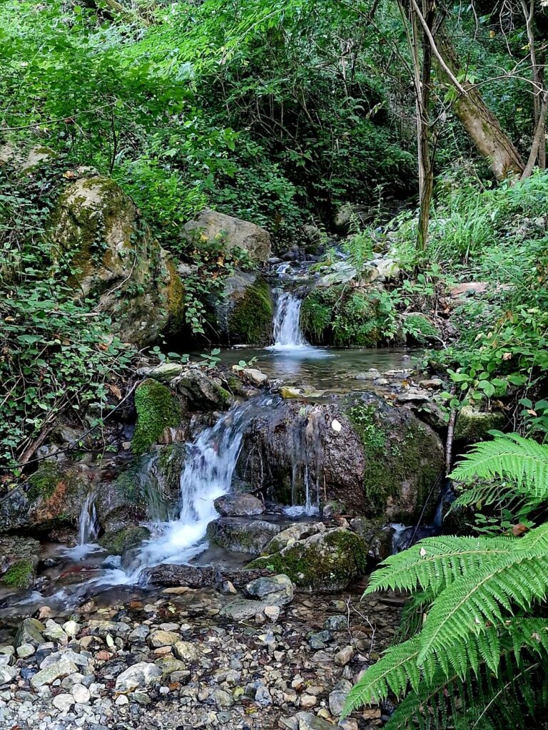 Cammina Natura