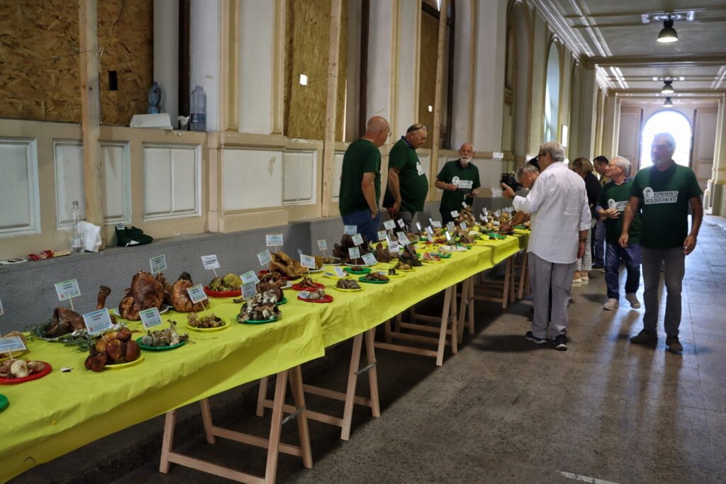 Mostra micologica palazzo San Giorgio