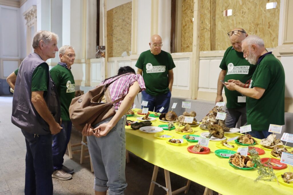 Mostra micologica palazzo San Giorgio